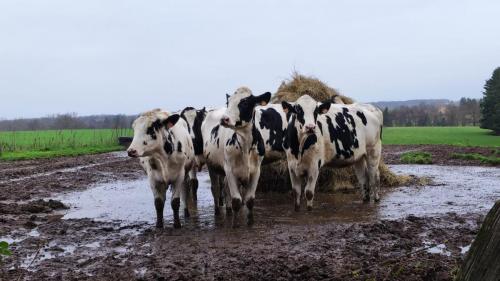 2023-01-10-StEtienneV01