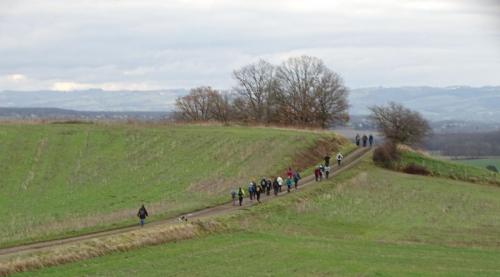 2023-01-31-BeaumontR02