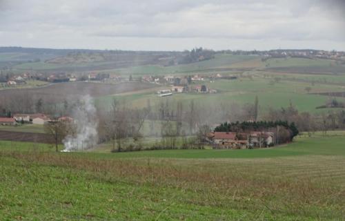 2023-01-31-BeaumontR03