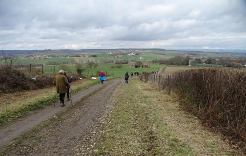 2023-01-31-BeaumontR04