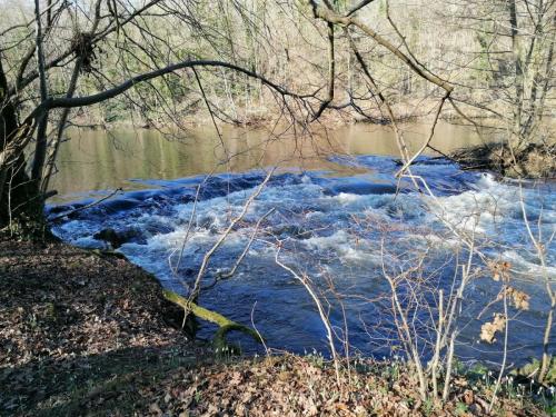 2023-02-07-Mazerier12