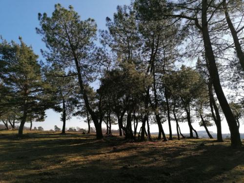 2023-02-07-Mazerier16