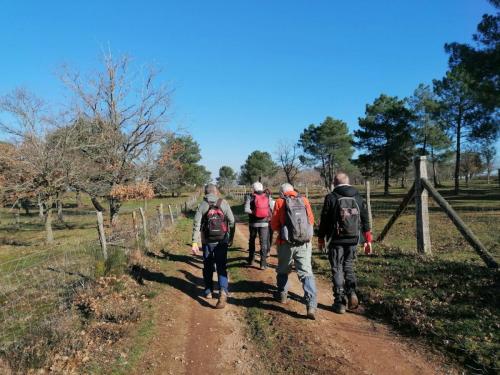 2023-02-07-Mazerier17