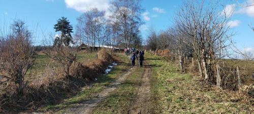 2023-02-09-Lavoine02