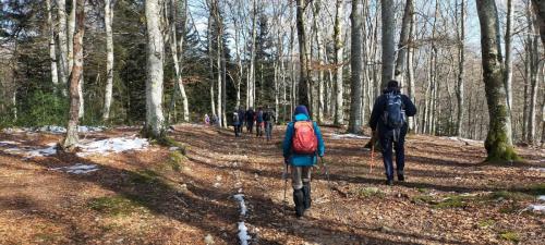 2023-02-09-Lavoine03