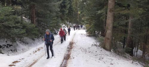 2023-02-09-Lavoine12