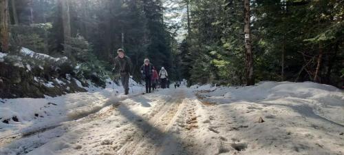 2023-02-09-Lavoine13