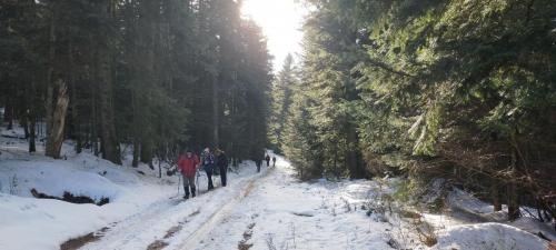 2023-02-09-Lavoine14