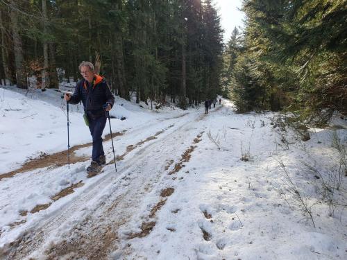 2023-02-09-Lavoine21