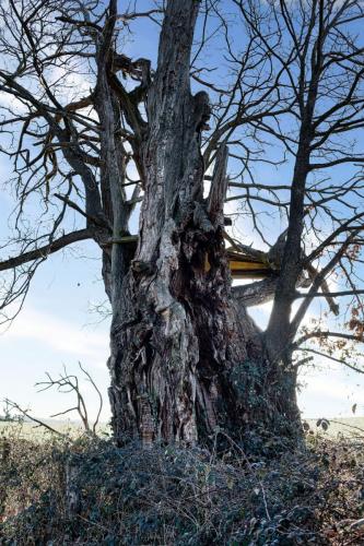 2023-02-09-Seuillet05