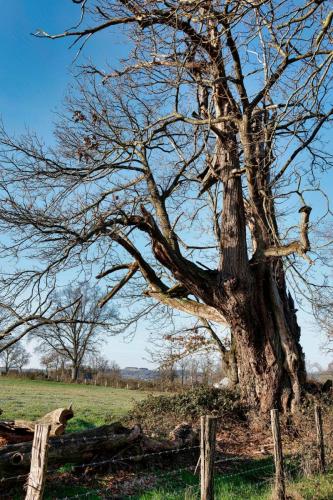 2023-02-09-Seuillet06