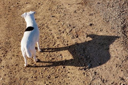 2023-02-09-Seuillet11