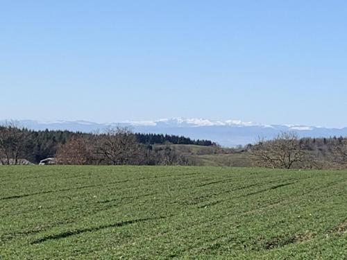 2023-02-16-Arronnes04