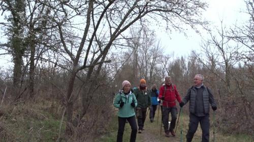 2023-02-28-StRemyt01