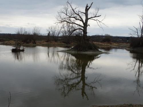 2023-02-28-StRemyt02