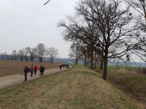 2023-03-02-StPriestB04