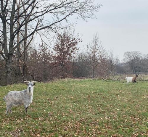 2023-03-02-StPriestB12