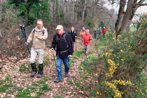 2023-03-23-Isserpent02