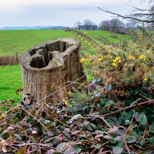 2023-03-23-Isserpent03