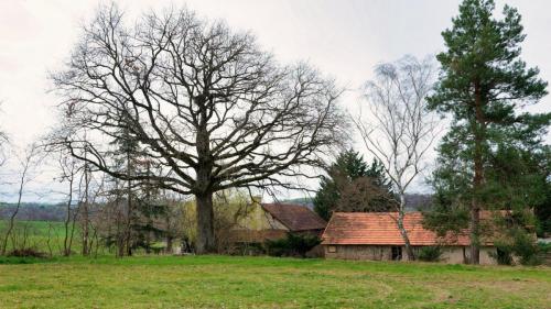 2023-03-23-Isserpent05