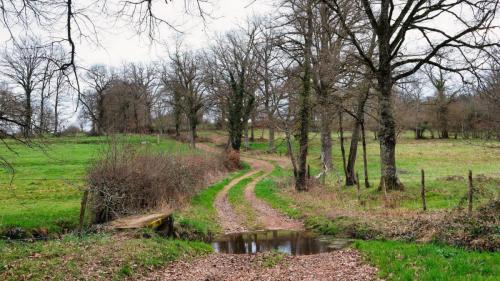 2023-03-23-Isserpent06