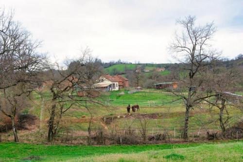 2023-03-23-Isserpent07