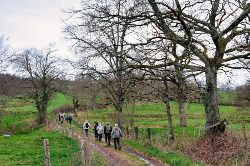 2023-03-23-Isserpent08