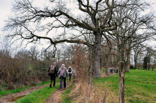 2023-03-23-Isserpent09