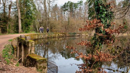 2023-03-23-Isserpent13