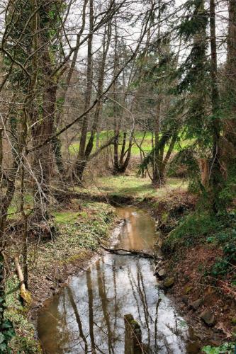 2023-03-23-Isserpent15