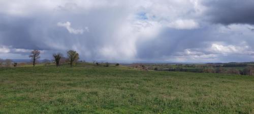 2023-04-13-Montaiguet04