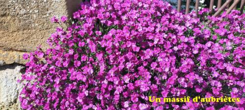 2023-04-13-Montaiguet10