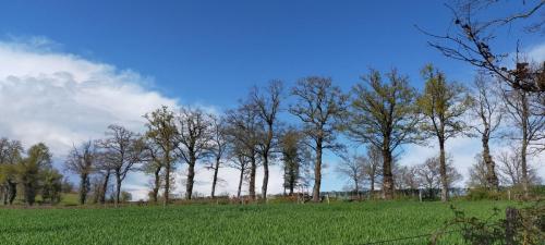 2023-04-13-Montaiguet12