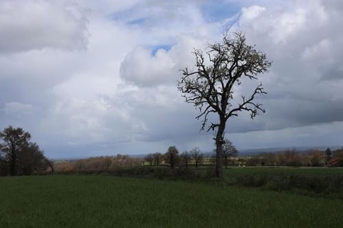 2023-04-13-Montaiguet16