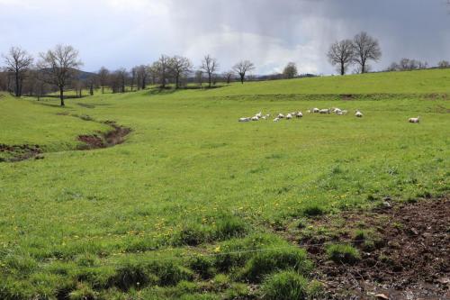 2023-04-13-Montaiguet18