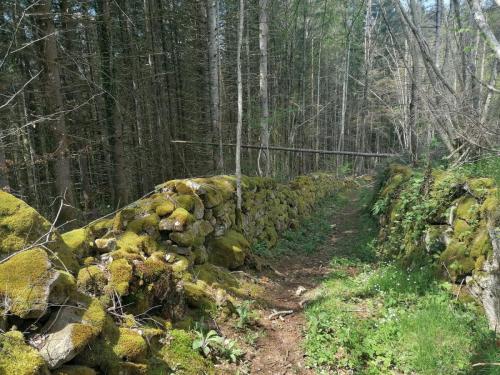 2023-05-02-Arconsat14