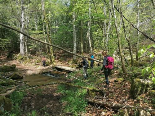 2023-05-02-Arconsat15