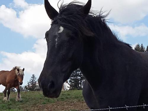 2023-05-02-Arconsat17