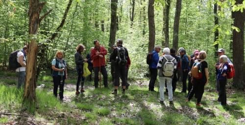 2023-05-02-StDidier01