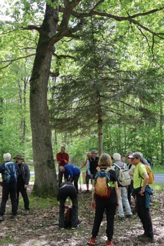 2023-05-02-StDidier03