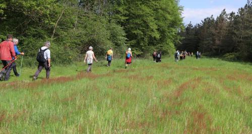 2023-05-02-StDidier04