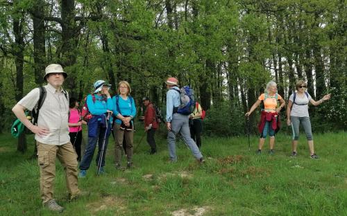 2023-05-04-Lignerolles01