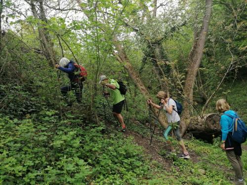 2023-05-04-Lignerolles02