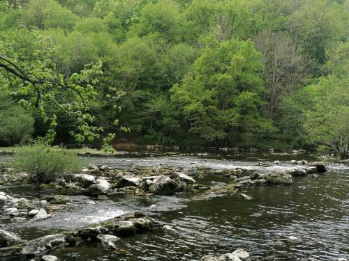 2023-05-04-Lignerolles04