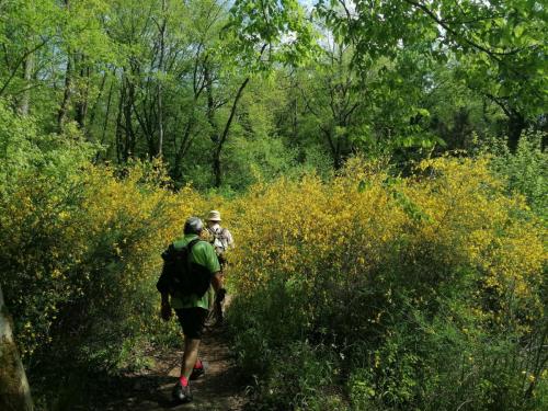 2023-05-04-Lignerolles07