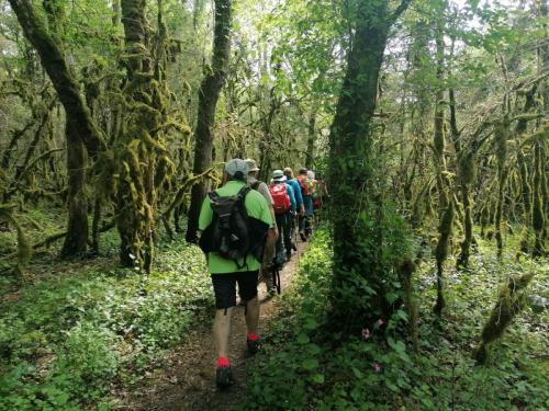 2023-05-04-Lignerolles08