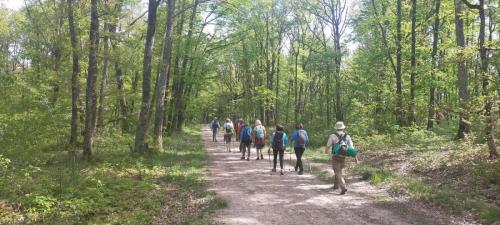 2023-05-04-Lignerolles15