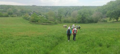 2023-05-04-Lignerolles18