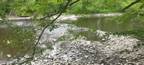 2023-05-04-Lignerolles21