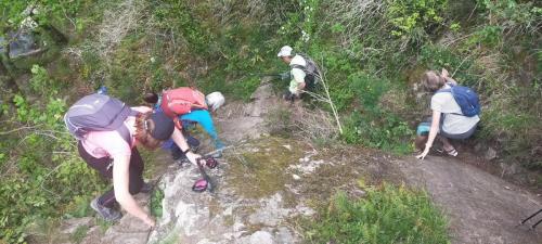 2023-05-04-Lignerolles23